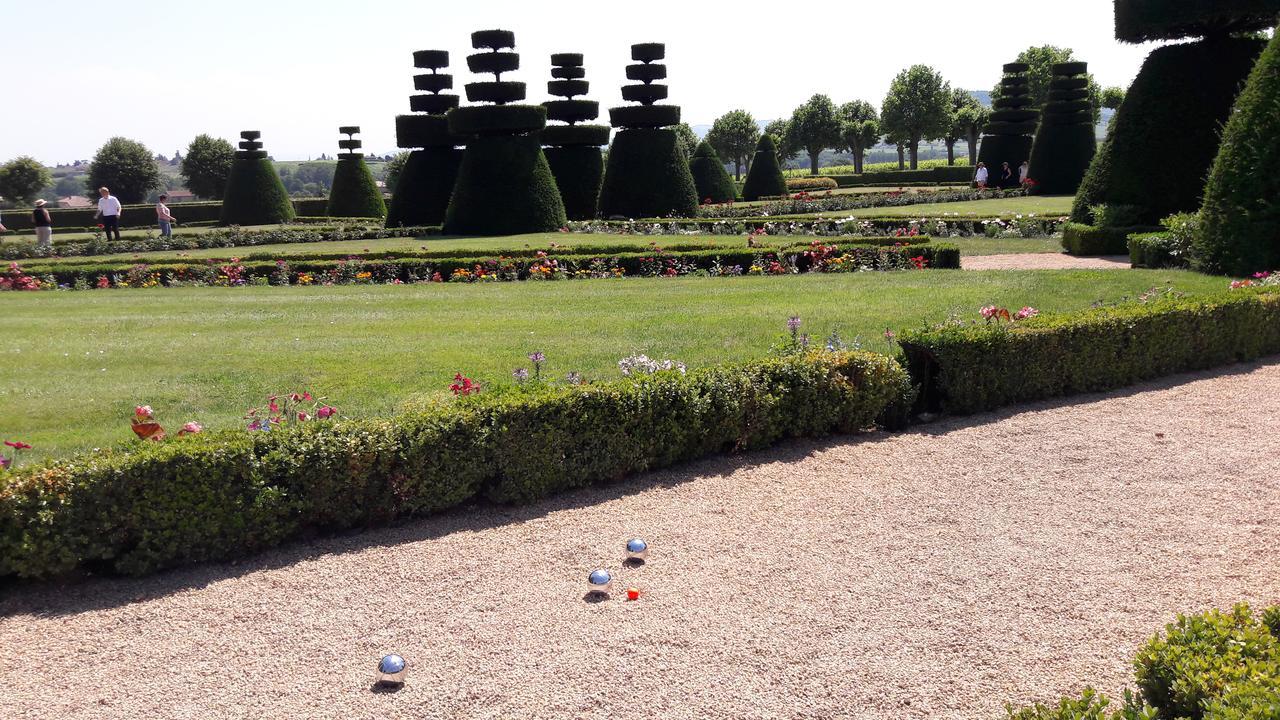 Chateau De Pizay Belleville-sur-Saône Dış mekan fotoğraf