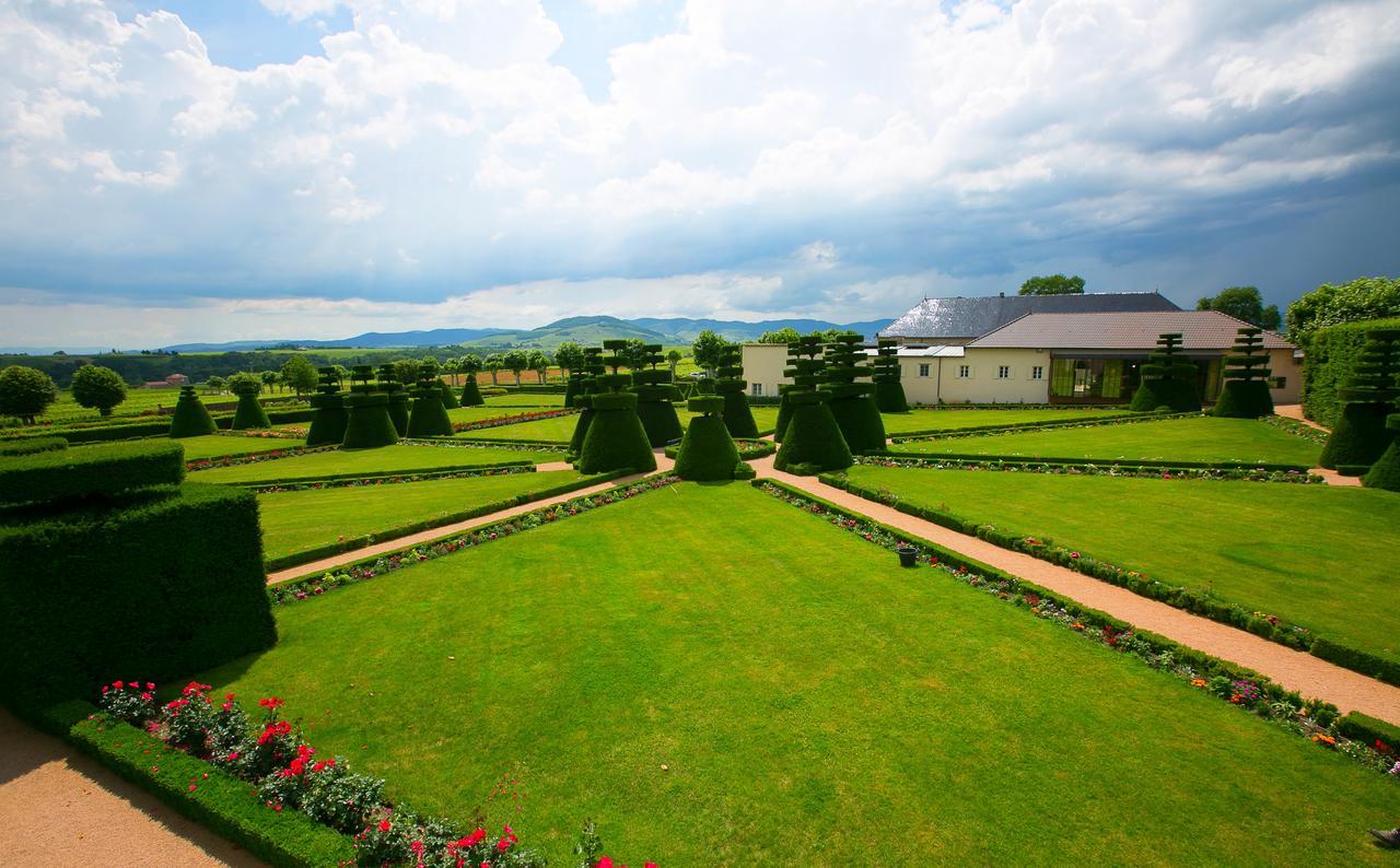 Chateau De Pizay Belleville-sur-Saône Dış mekan fotoğraf