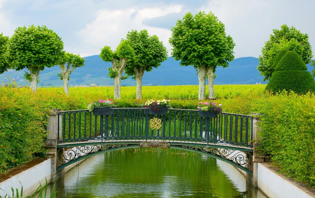 Chateau De Pizay Belleville-sur-Saône Dış mekan fotoğraf