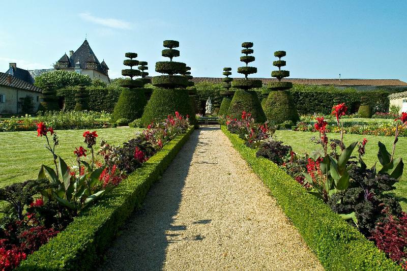 Chateau De Pizay Belleville-sur-Saône Dış mekan fotoğraf